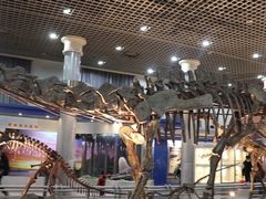 -爱乐恩幼儿园(亦庄园店)