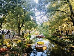 -上海共青森林公园