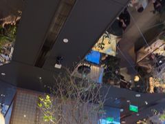 -桂满陇·海市蜃楼·黑金(国金店)