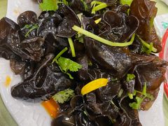 香菜木耳-葛记焖饼(伏牛路店)