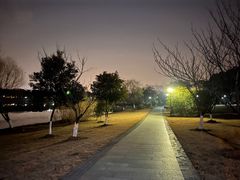 -长广溪湿地公园