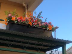 -七步香云南山里菜(昆明老街店)