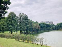 -东莞植物园