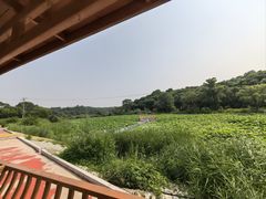 -大青沟风景区