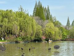 -扬州市茱萸湾风景区