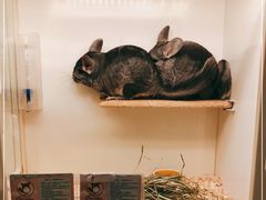 -龙猫仔乐园(惠福东路店)