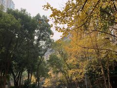 -龙湖·春森彼岸