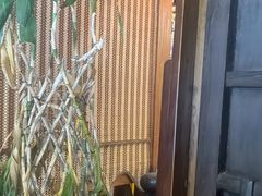 -露雨轩茶楼(牡丹园店)