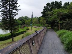 -海珠湖公园