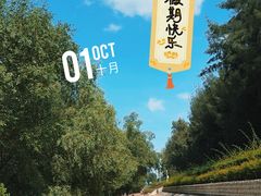 -宝安西湾红树林湿地公园