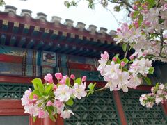 -海棠花溪(元大都城垣遗址公园)