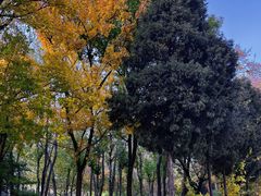 -好利来(宣武门店)