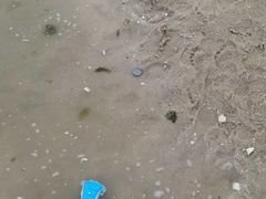 -碧海银沙景区