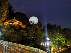 -巴倒烫陆派火锅山庄(南山总店)