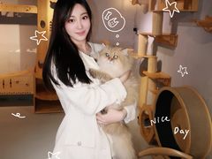 -豆逗聊愈猫阁Easy Life