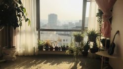 -笑美甲美睫工作室