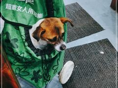 -沈记青团