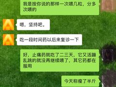 -宠爱国际动物医院·疑难骨科·心肾内科·皮肤科(太阳宫店)