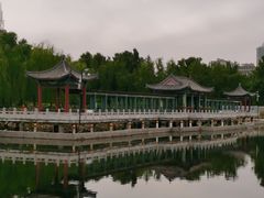 -莲花池公园