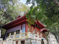 -东湖落雁景区