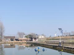 -合肥滨湖国家森林公园