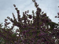 -苏州河梦清园环保主题公园