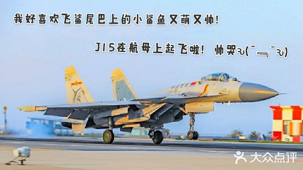 给我最爱的威龙打call