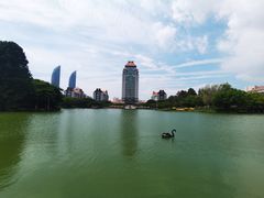 -厦门大学(思明校区)