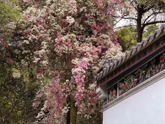 -深圳国际园林花卉博览园