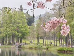 -四海公园(南山区)