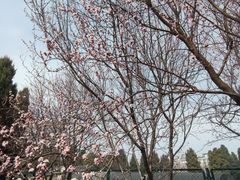 -元大都城垣遗址公园