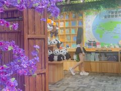 -都江堰中华大熊猫苑