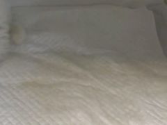 -北京观赏动物医院·24小时大型综合·猫专科·异宠专科