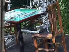 -香港海洋公园