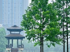 -洋湖国家湿地公园