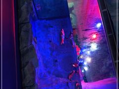 -芜湖新华联大白鲸海洋公园