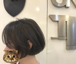 短发-SALON TV x ILCOLPO