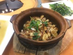 砂锅鱼腩煲-焯明脆肉鲩世家(金沙洲店)