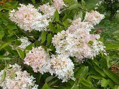 -长春公园(普阳街道)