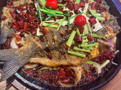 -老板恋上鱼(恒隆广场店)