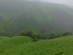 -新疆那拉提国家旅游度假区