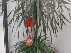 -雲己推拿院·养生SPA(江北龙湖天街店)