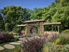 -上海共青森林公园