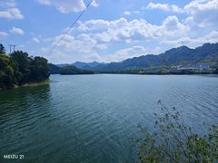 -浔味·山屿湖·正宗淳牌全鱼宴老字号