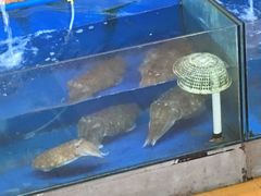 -蓝湾碧波·老字号·疍家非遗海上餐厅