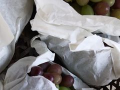 -马陆小张葡萄园农家乐