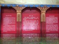 iphone_upload_pic-迪庆藏族自治州博物馆