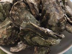 -兴旺渔家