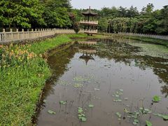 -福神岗公园