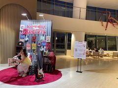 -交通银行前滩31演艺中心